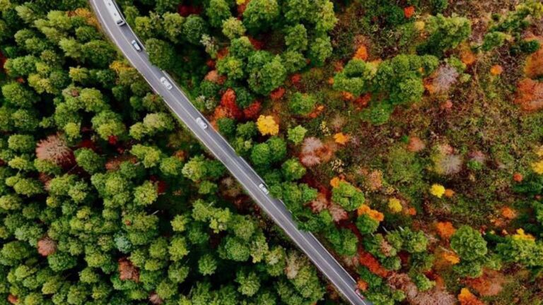 La vue automnale enchanteresse dans le parc naturel de Gölcük