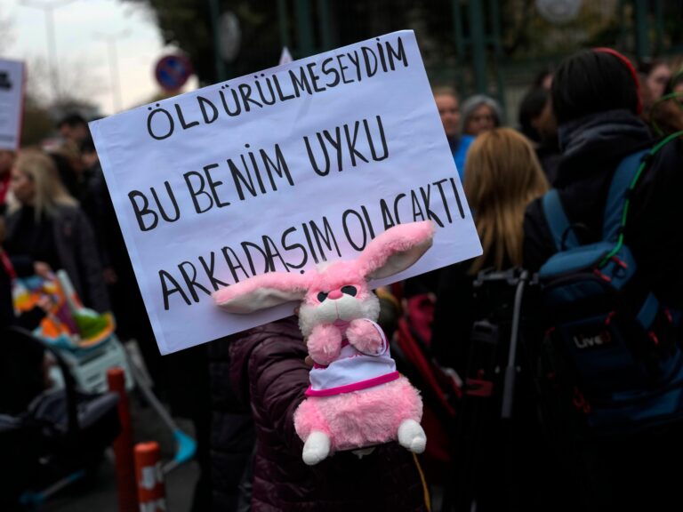 Qui est le « Gang des nouveau-nés » de Turkiye et pourquoi sont-ils jugés ?