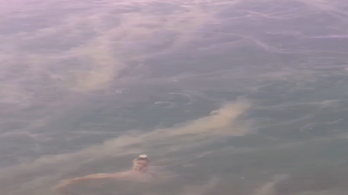 NOUVELLES || Le cauchemar revient ! A atteint la surface