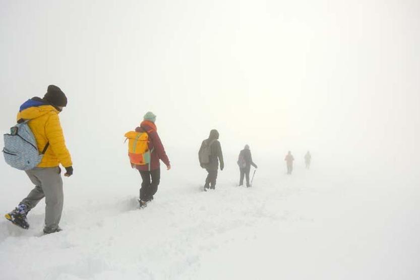 Une promenade hivernale de conte de fées sur le plateau de Tohtamur