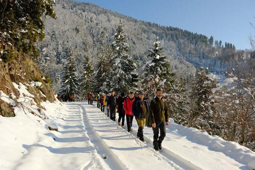 Une promenade hivernale de conte de fées sur le plateau de Tohtamur