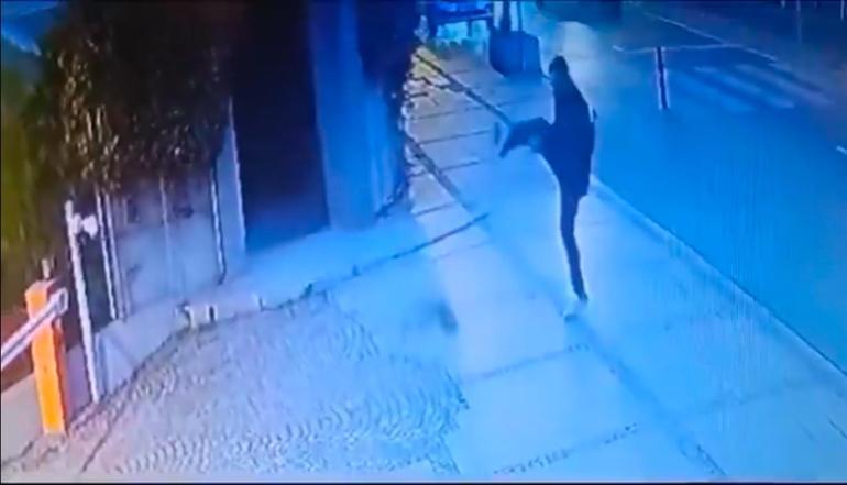 INCONSCIENT a blessé un chat à Beşiktaş en lui donnant des coups de pied sans raison | Vidéo