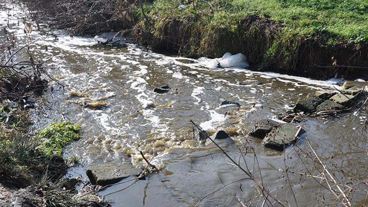 La couleur du ruisseau Saranlı a changé et une mauvaise odeur s'est propagée