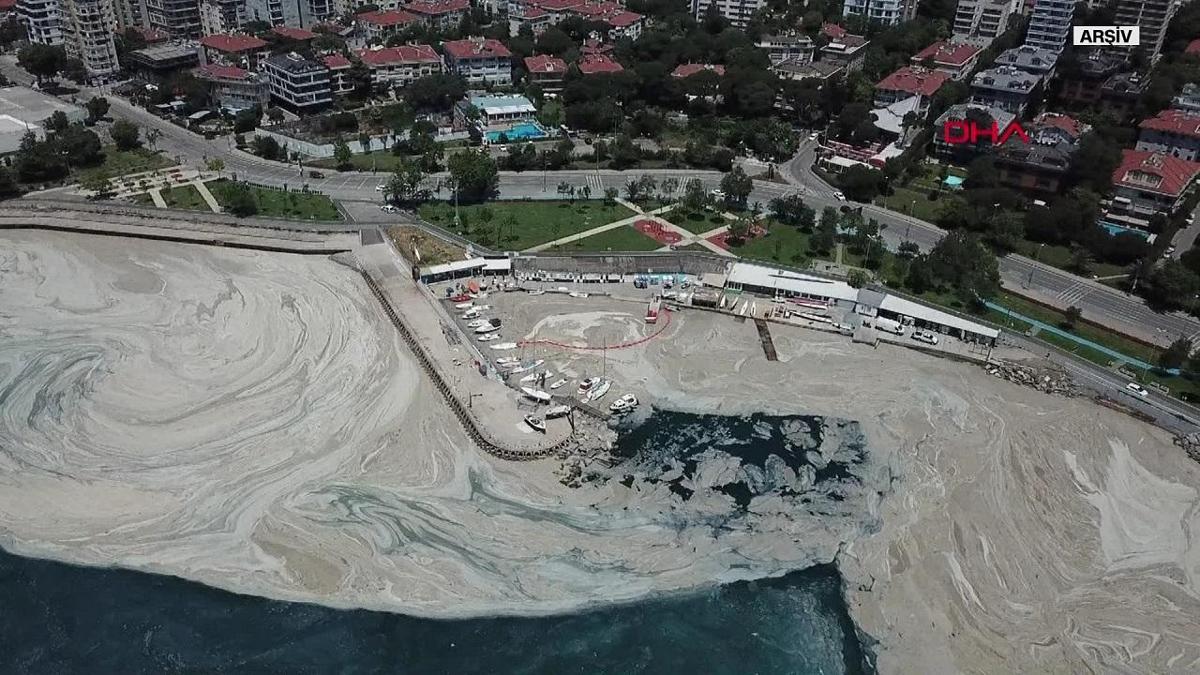 Les experts avertissent: Marmara, sous la menace de la «salive de mer»!