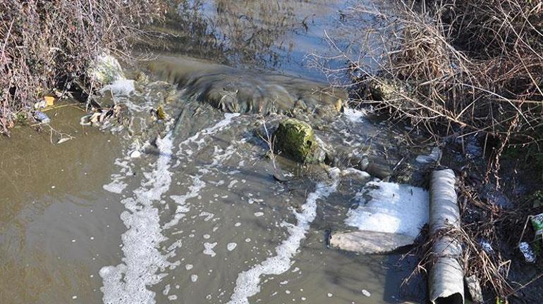 La couleur du ruisseau Saranlı a changé et une mauvaise odeur s'est propagée
