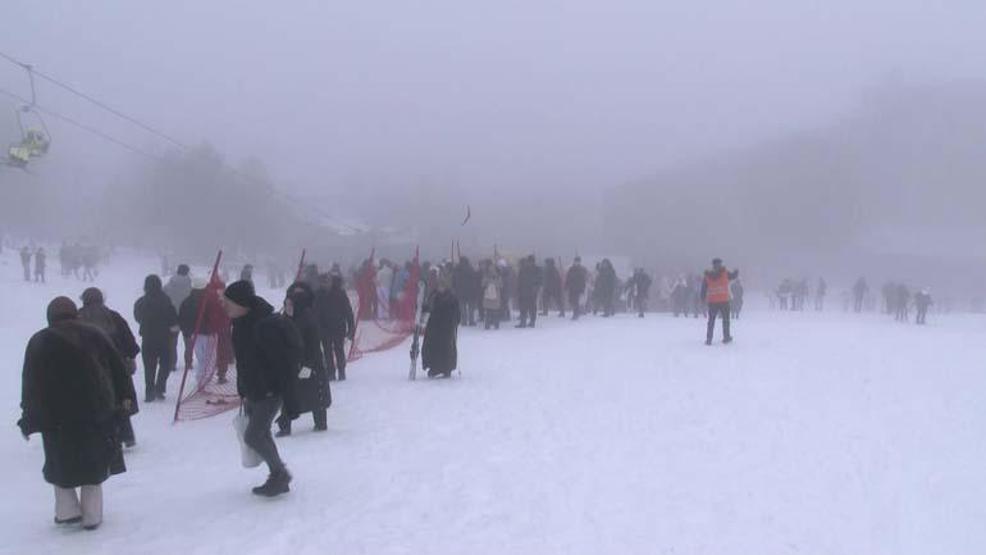 Le paradis blanc uludaäÿ vit les pensées les plus populaires de la saison