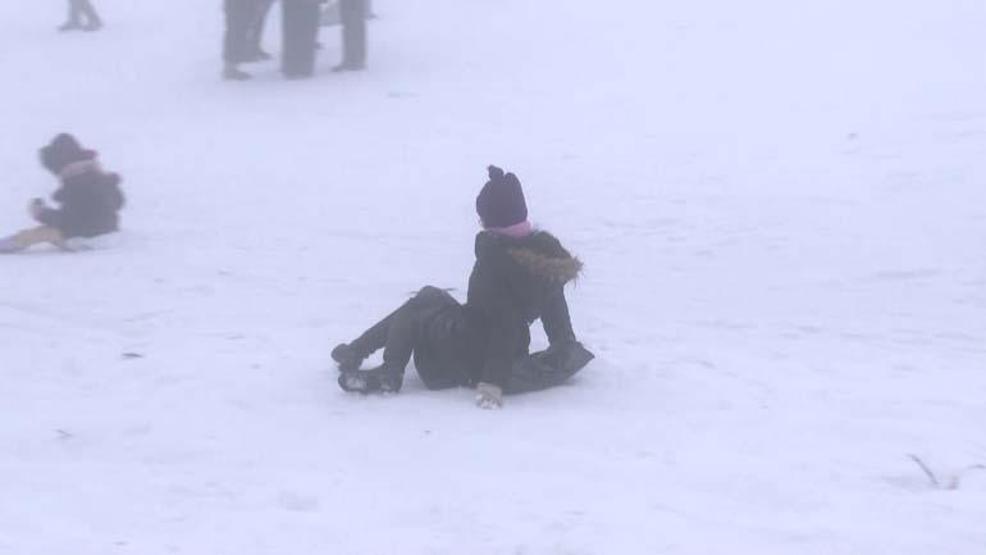 Le paradis blanc uludaäÿ vit les pensées les plus populaires de la saison