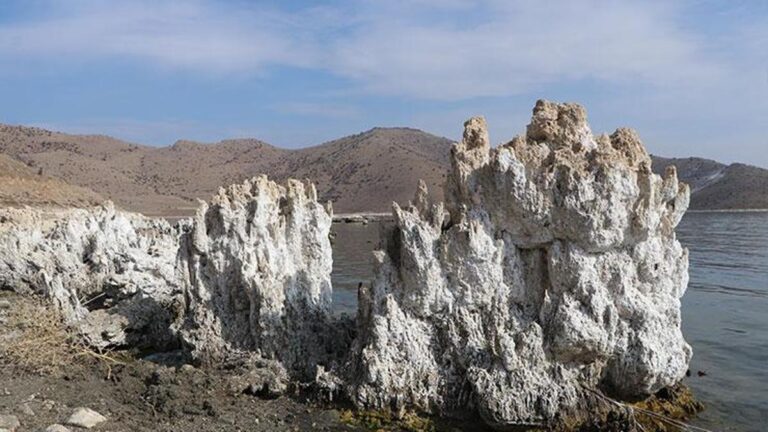 Les microbialites après le retrait du lac Van sont allés à terre