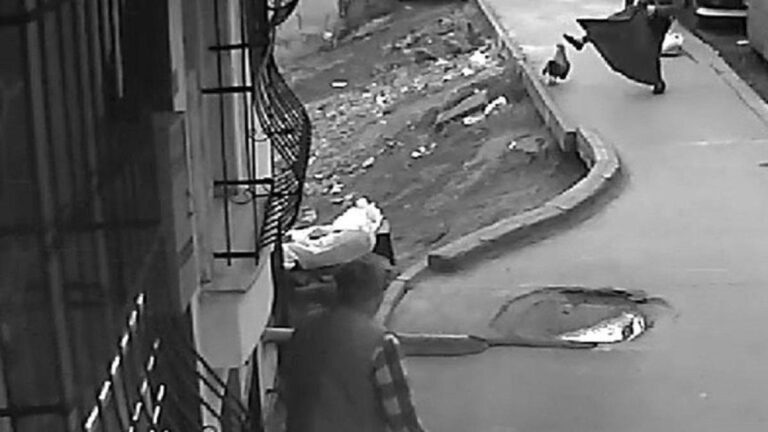 Rooster a attaqué la femme marchant à Esenyurt