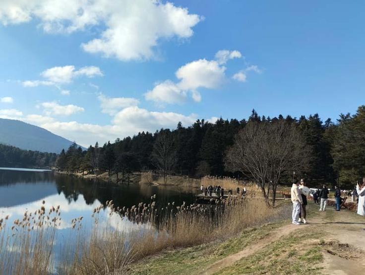 Densité de semestre dans le parc naturel de Gölcük
