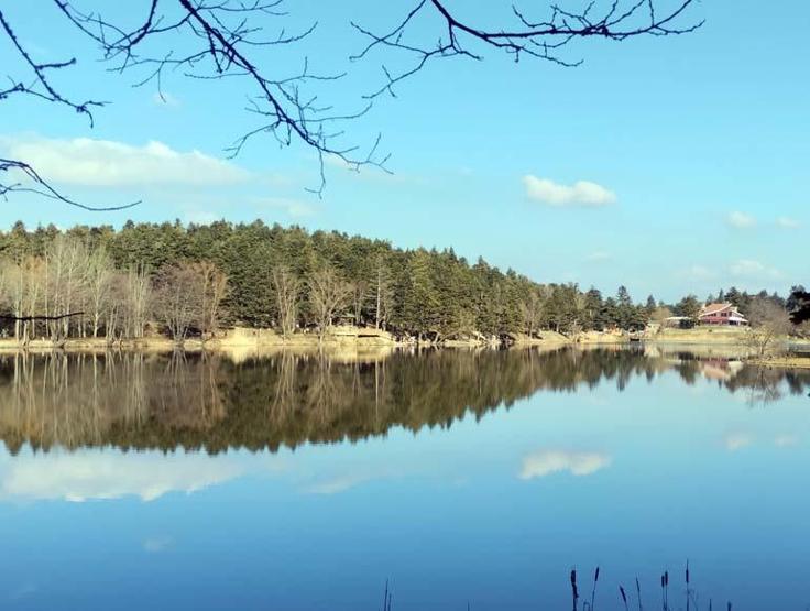 Densité de semestre dans le parc naturel de Gölcük