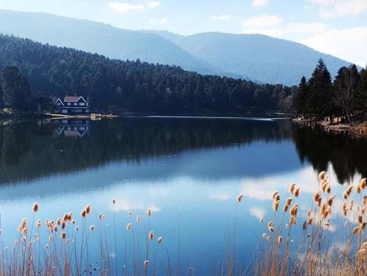 Densité de semestre dans le parc naturel de Gölcük