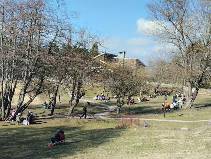 Densité de semestre dans le parc naturel de Gölcük