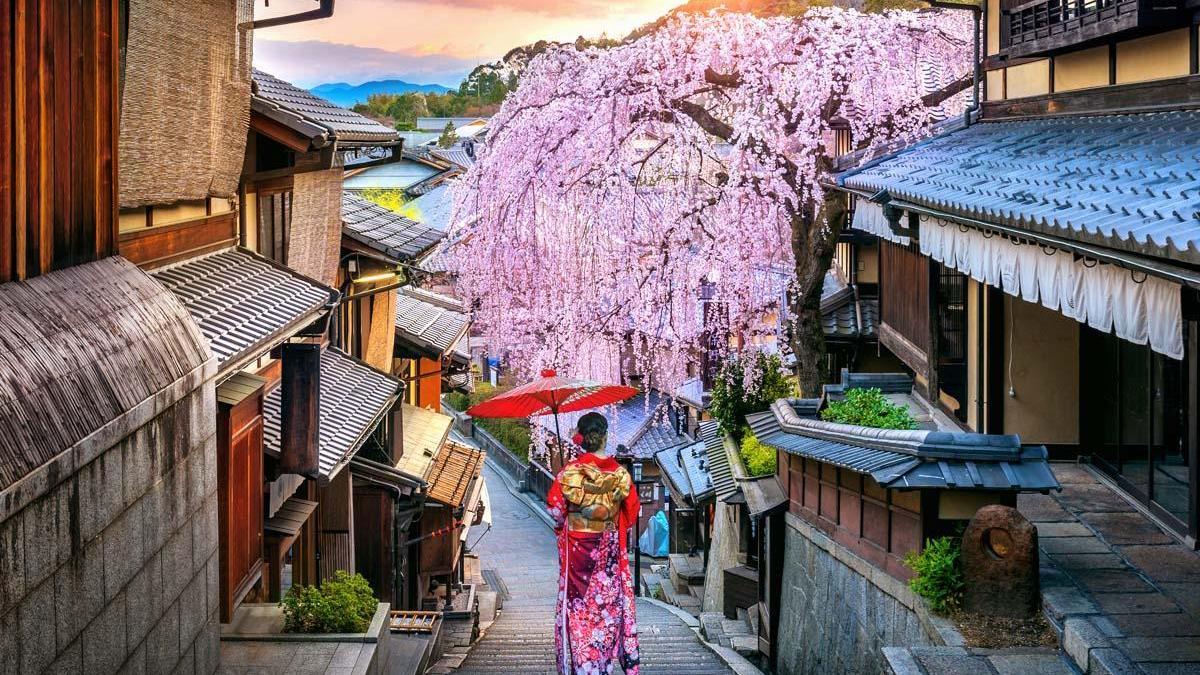 10 choses intéressantes sur le Japon peut-être la première fois que vous pouvez entendre