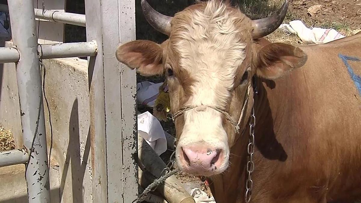 Mesures de fête du ministère de l'Agriculture et de la Forêtrie