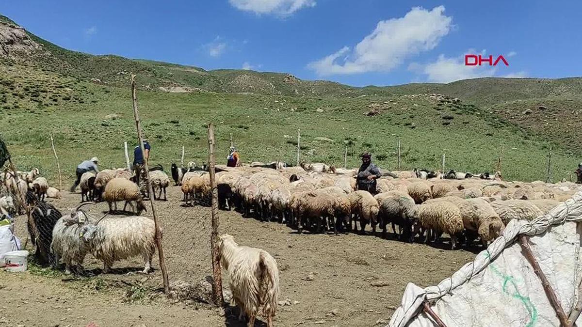 Qu'est-ce que le terrorisme ajoute à l'économie?