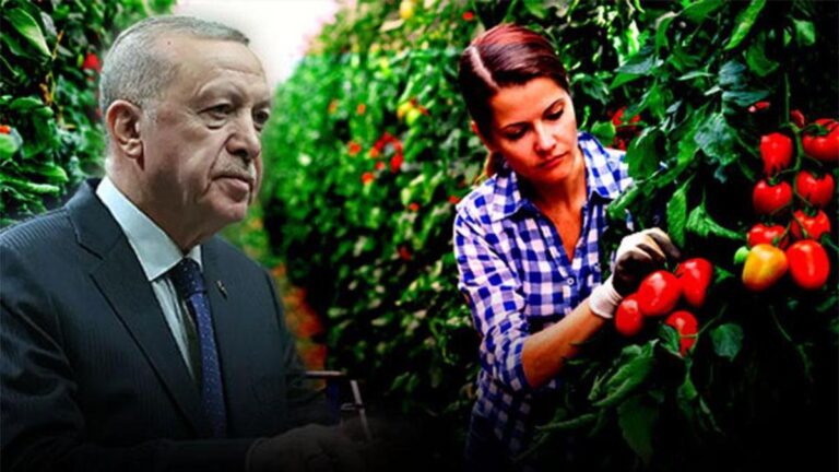 La feuille de route est évidente dans l'agriculture … Le président Erdoğan annoncera les décisions