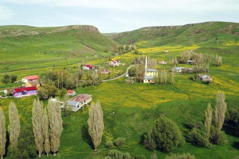 Avec l'arrivée du printemps dans la douleur, des fleurs colorées se sont ouvertes dans les montagnes