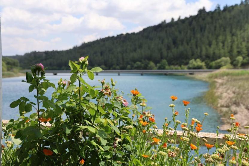 Paysage qui repose les visiteurs: Aladağ