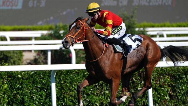 99. Gazi Run 2025: Quand, où le Gazi Run sera-t-il fait? 99. Dans quelle chaîne la course de Gazi sera-t-elle diffusée?