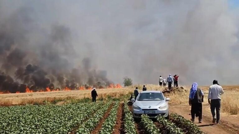 Feu de terrain à şanlıurfa: 1 lourd 5 blessé