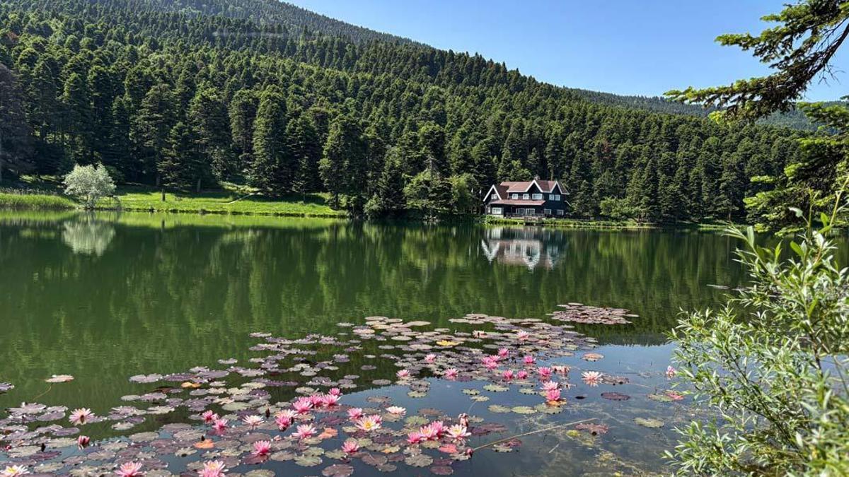 Le parc naturel de Gölcük a été inondé par des vacanciers: «la nature, l'énergie est excellente»