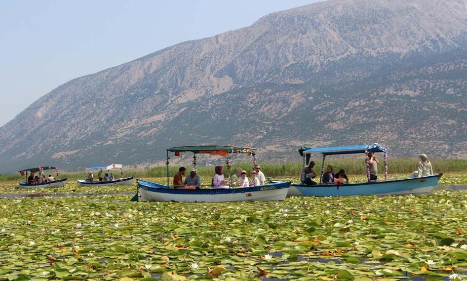 Le tourisme Nilüfer à Işıklı Lake est le centre d'attention pour les visiteurs