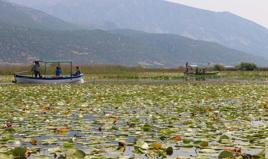 Le tourisme Nilüfer à Işıklı Lake est le centre d'attention pour les visiteurs