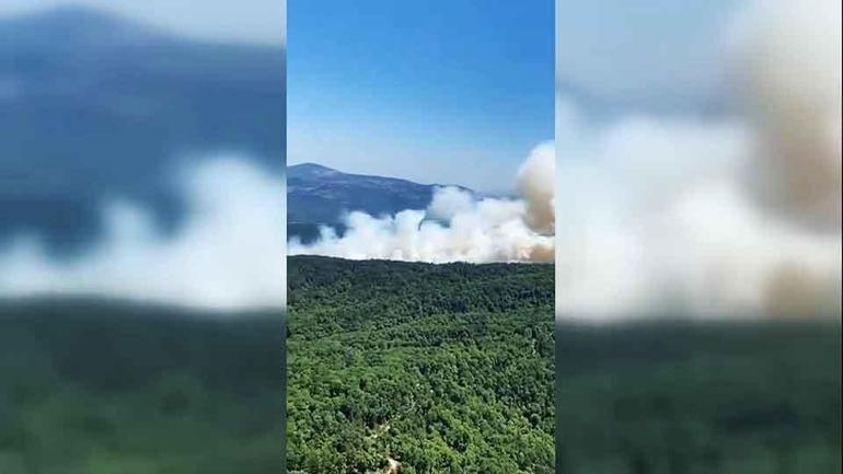 New Forest Fire News de 4 provinces: zones d'été couvertes de fumée