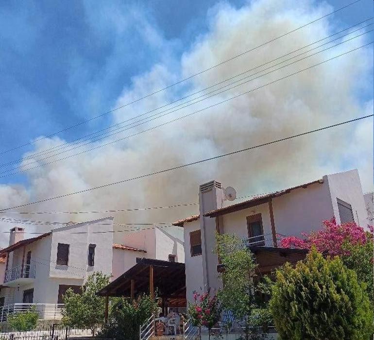 New Forest Fire News de 4 provinces: zones d'été couvertes de fumée