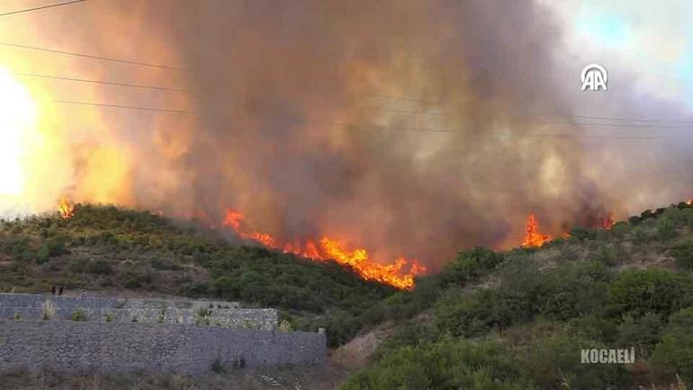New Forest Fire News de 4 provinces: zones d'été couvertes de fumée