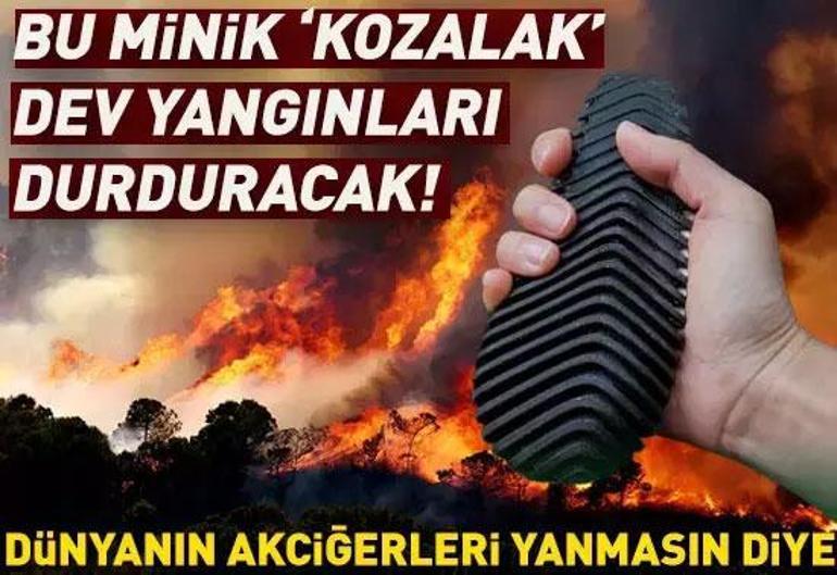 New Forest Fire News de 4 provinces: zones d'été couvertes de fumée