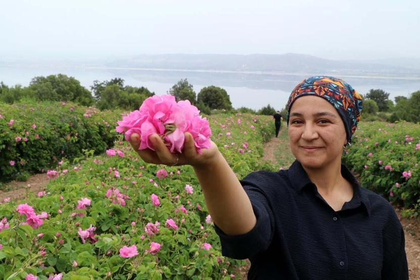 Nouvelle tendance dans les préférences des fêtes de la mer, du sable, du soleil plutôt que de la lavande touristique agricole, des roses, des olives ... il y a un intérêt intense pour les festivals