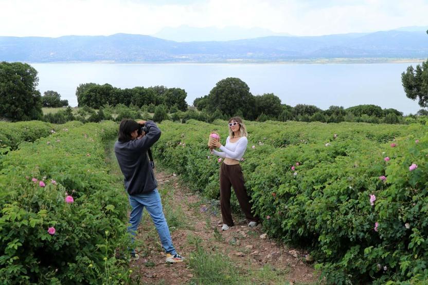 Nouvelle tendance dans les préférences des fêtes de la mer, du sable, du soleil plutôt que de la lavande touristique agricole, des roses, des olives ... il y a un intérêt intense pour les festivals