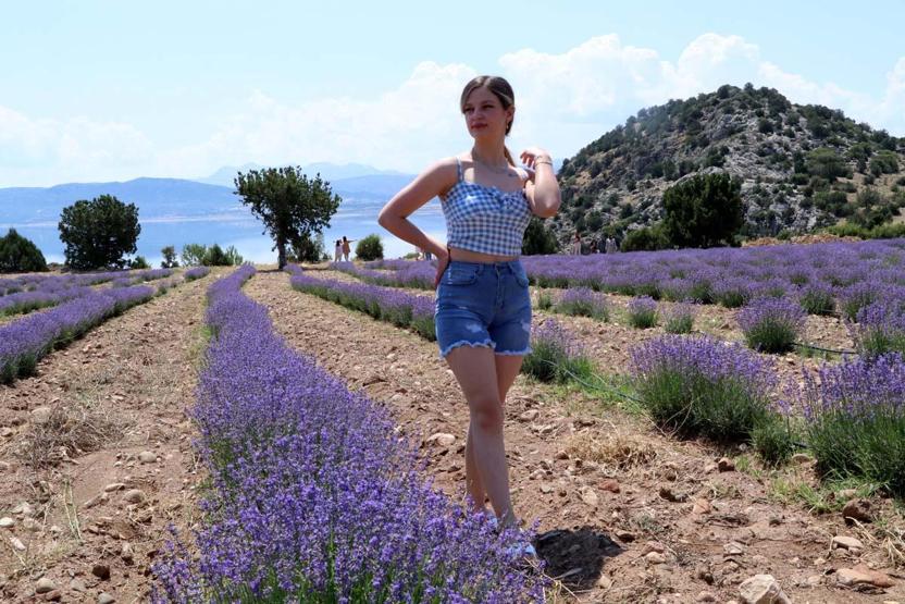 Nouvelle tendance dans les préférences des fêtes de la mer, du sable, du soleil plutôt que de la lavande touristique agricole, des roses, des olives ... il y a un intérêt intense pour les festivals