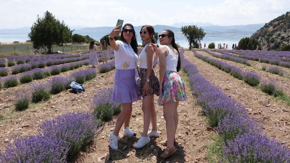 Nouvelle tendance dans les préférences des fêtes de la mer, du sable, du soleil plutôt que de la lavande touristique agricole, des roses, des olives ... il y a un intérêt intense pour les festivals