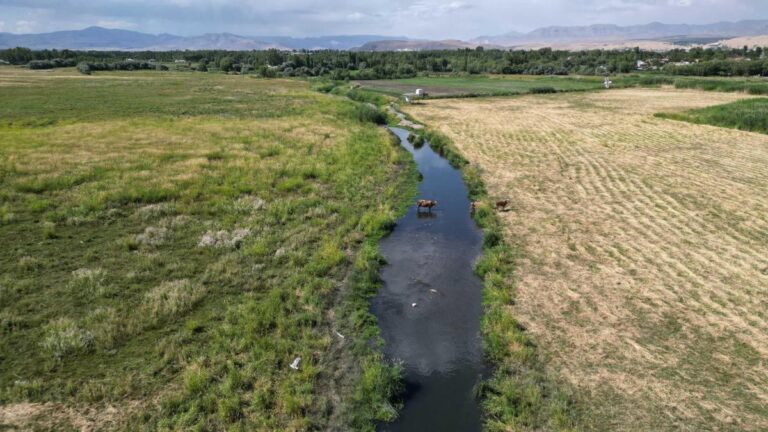 Le retrait changé dans le lac Van