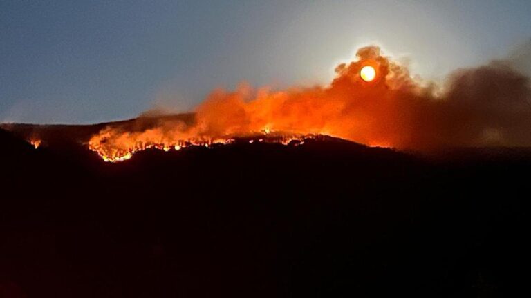 Breaking News: Forest Fire in çankırı