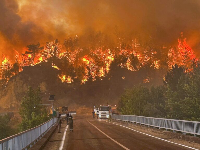 «  Apocalypse '': les incendies de forêt de Turkiye atteignent Key Northwest City alors que des centaines de personnes fuient