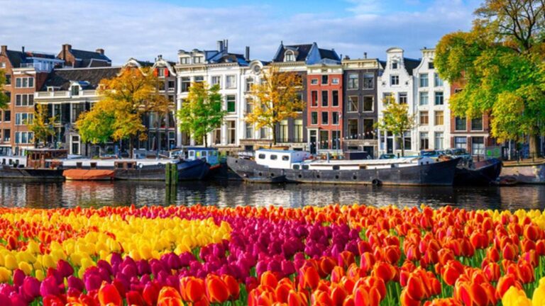 Ce que vous devez savoir sur les Pays-Bas: quand, comment se rendre aux Pays-Bas? Langue, capital, devise …