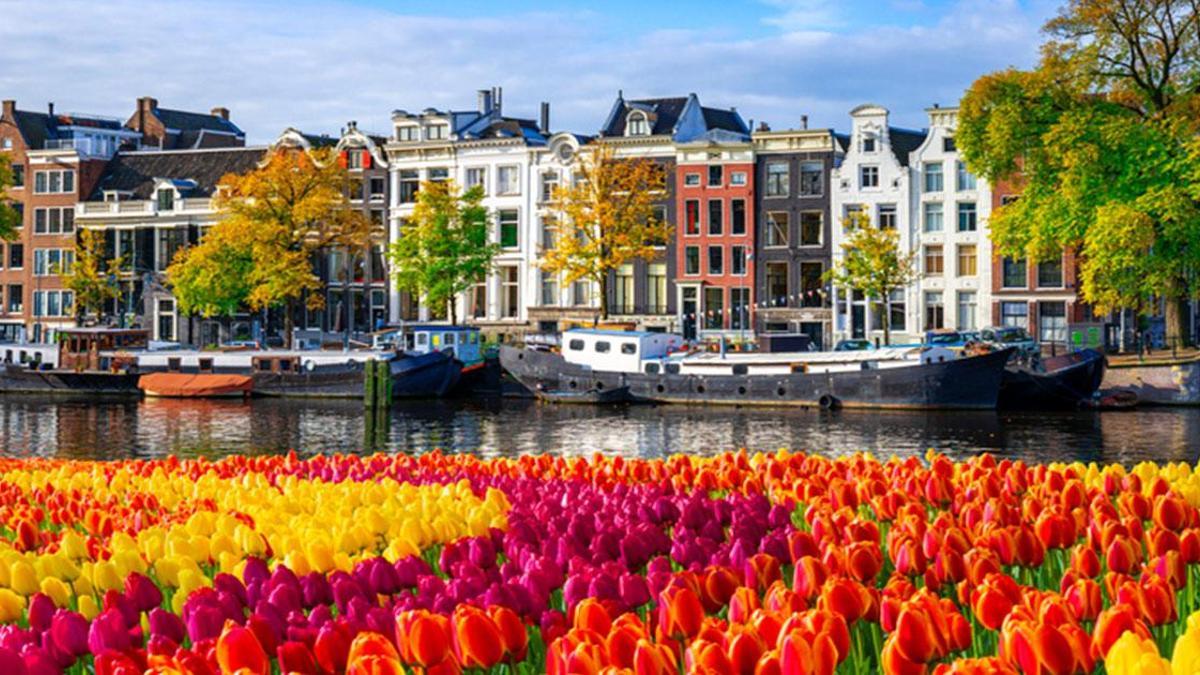 Ce que vous devez savoir sur les Pays-Bas: quand, comment se rendre aux Pays-Bas? Langue, capital, devise ...