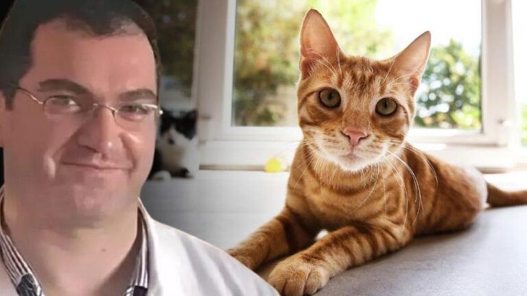 Il a été affirmé que «le chat est mort de plumes»! La vérité est apparue