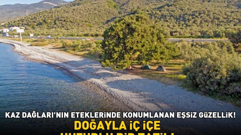 Le sortant ne veut pas revenir! La beauté unique située au pied des montagnes Kaz! Il est à seulement 4 heures à 27 minutes d'Istanbul!