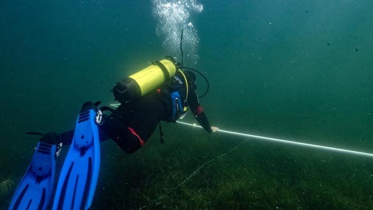 La lutte contre Muslaj dans la mer de Marmara: Çayır-Iz et Pina-Iz respireront avec des projets