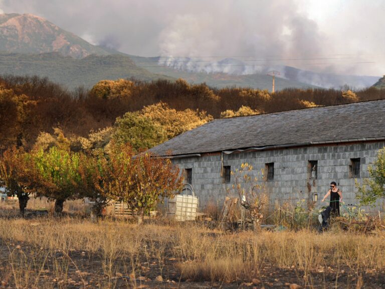 Les incendies de forêt en Espagne tuent une personne comme des milliers de personnes forcées de fuir