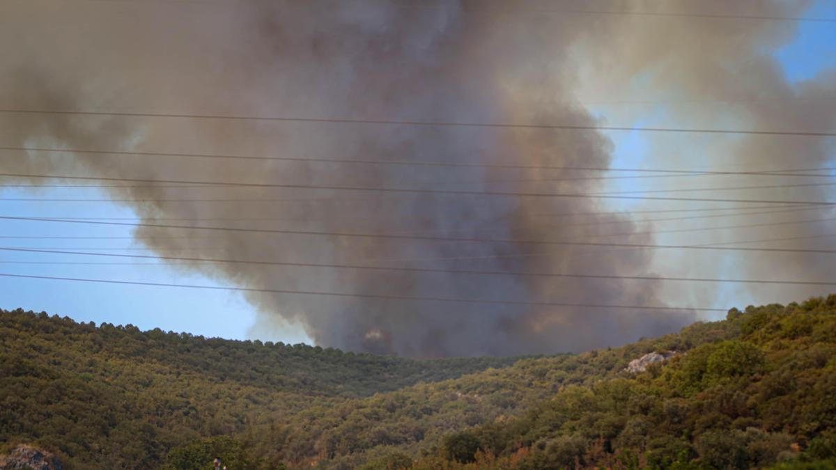 Force Fire à Bursa Yenişehir ... La route a été fermée à la circulation