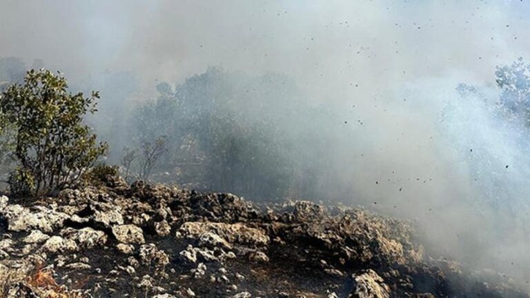 Couvrez le feu à Diyarbakır Dicle ! L'intervention aérienne et terrestre se poursuit