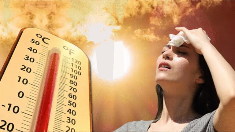 Septembre a été le 11ème mois le plus chaud des 55 dernières années