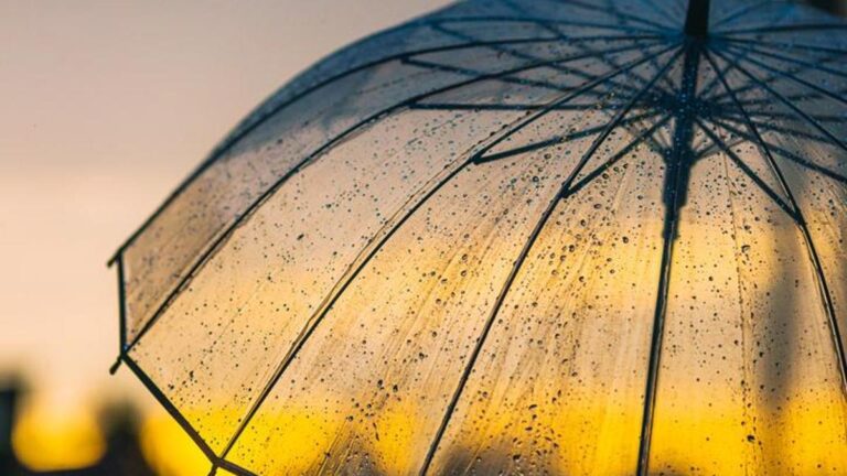 UNE DOUCHE ARRIVE DANS LES 2 DERNIERS JOURS ! Voici le bulletin météo du 3 au 7 novembre : Quel temps fera-t-il dans quelle région ?