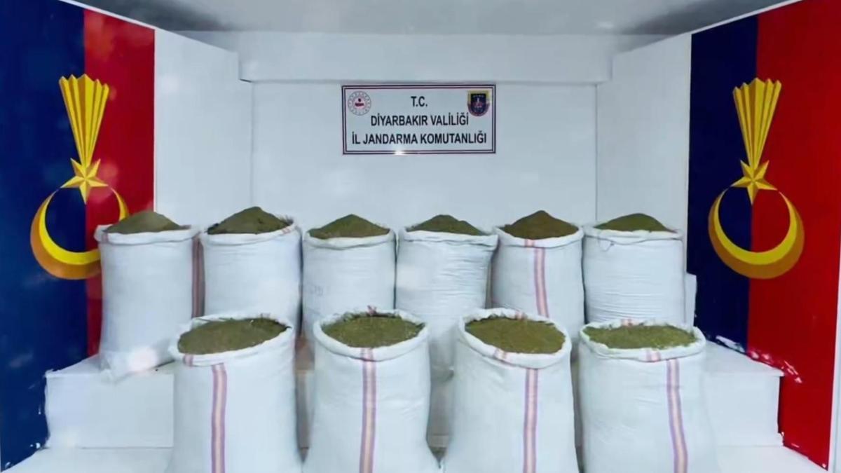 Opérations antidrogue dans 29 provinces ; 110 arrestations